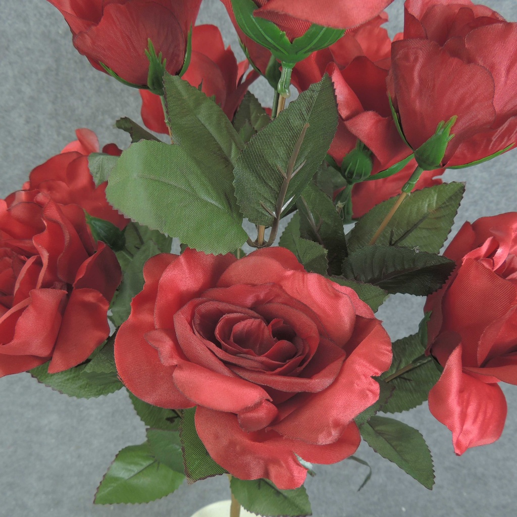 ROSE BUSH X12 23" 4"/2.5"dia  RED