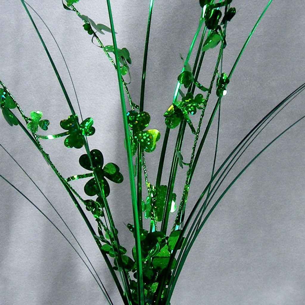 SHAMROCK/ONION GRASS SPRAY 18"(1 DZ/BAG)