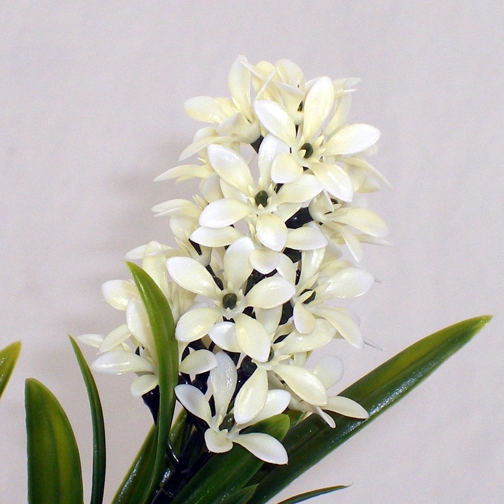 STAR FLOWER GRASS SPRAY 26" (6/BDL) CREAM