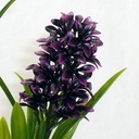 STAR FLOWER GRASS SPRAY 26" (6/BDL) PLUM