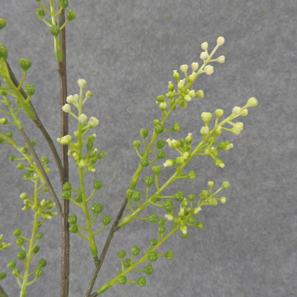 SEEDED FLOWER SPRAY 30" (6/BDL)  GREEN