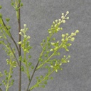 SEEDED FLOWER SPRAY 30" (6/BDL)  GREEN