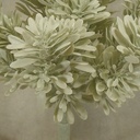 MATAI BUSH X7 9"  (4/BAG)  DUSTY GREEN