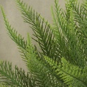 FERN BUSH X7 13" DUSTY GREEN