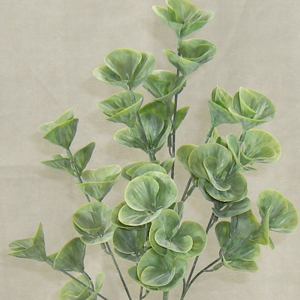 EUCALYPTUS SPRAY 23" (4/BUNDLE)