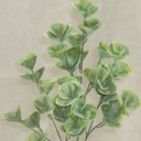 EUCALYPTUS SPRAY 23" (4/BUNDLE)
