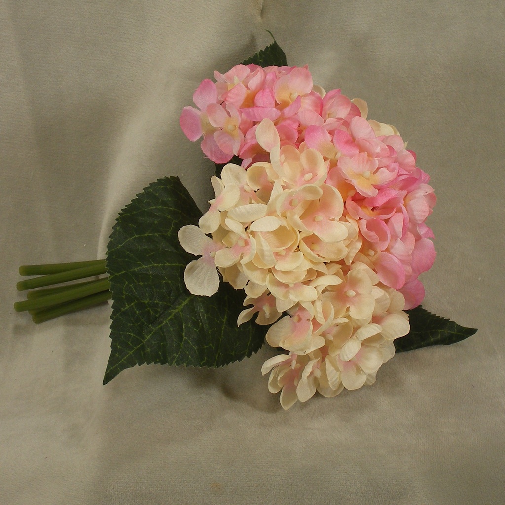 HYDRANGEA BOUQUET X6 9"  CREAM/PINK