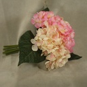 HYDRANGEA BOUQUET X6 9"  CREAM/PINK