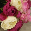 RANUNCULUS BOUQUET X10 9"  BEAUTY/CREAM