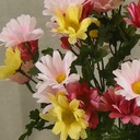 DAISY BUSH X9 15"  YELLOW/PINK/BURGUNDY