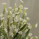 DAISY MINI BUSH X8   24"  WHITE