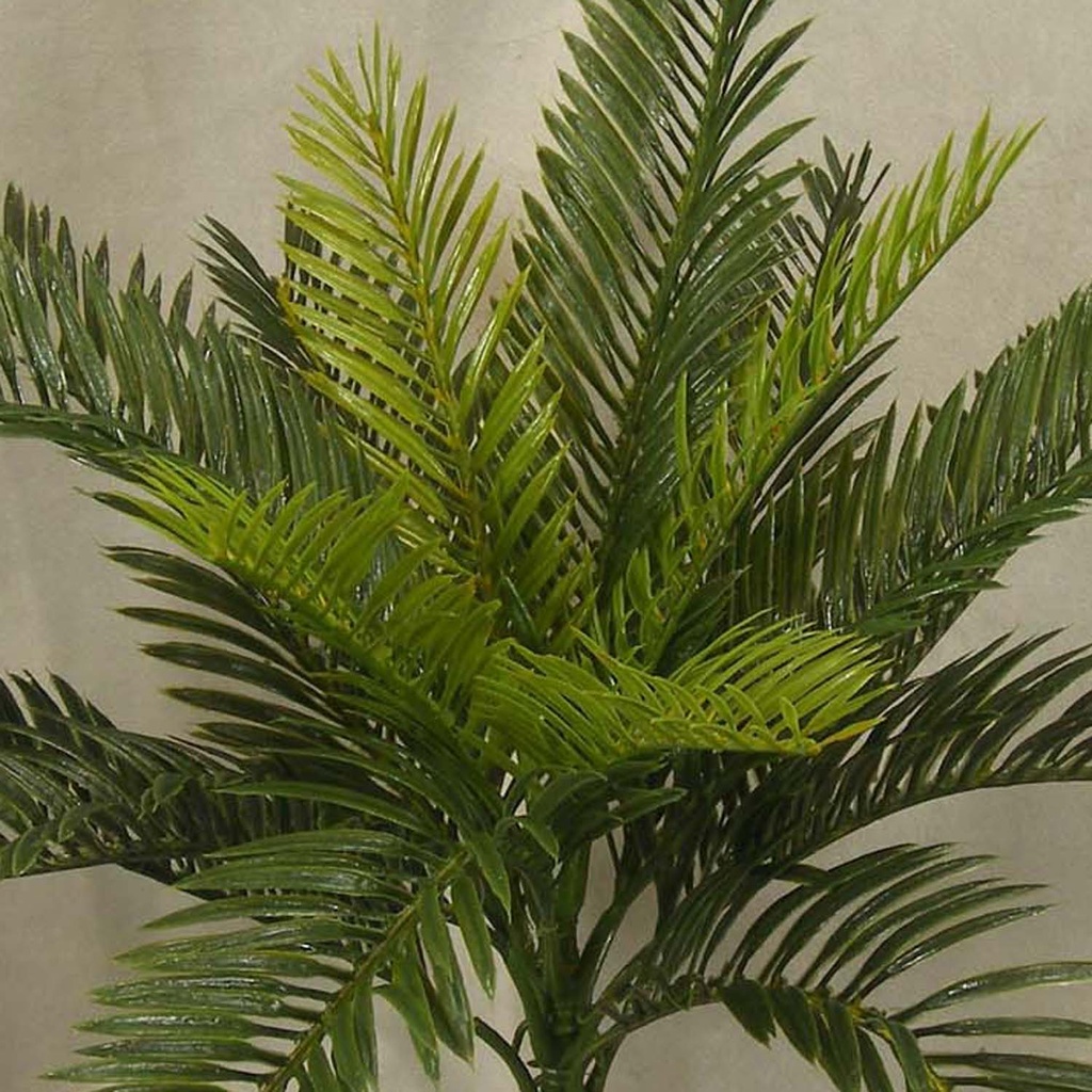 CYCAS PLASTIC BUSH