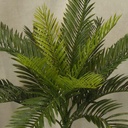 CYCAS PLASTIC BUSH