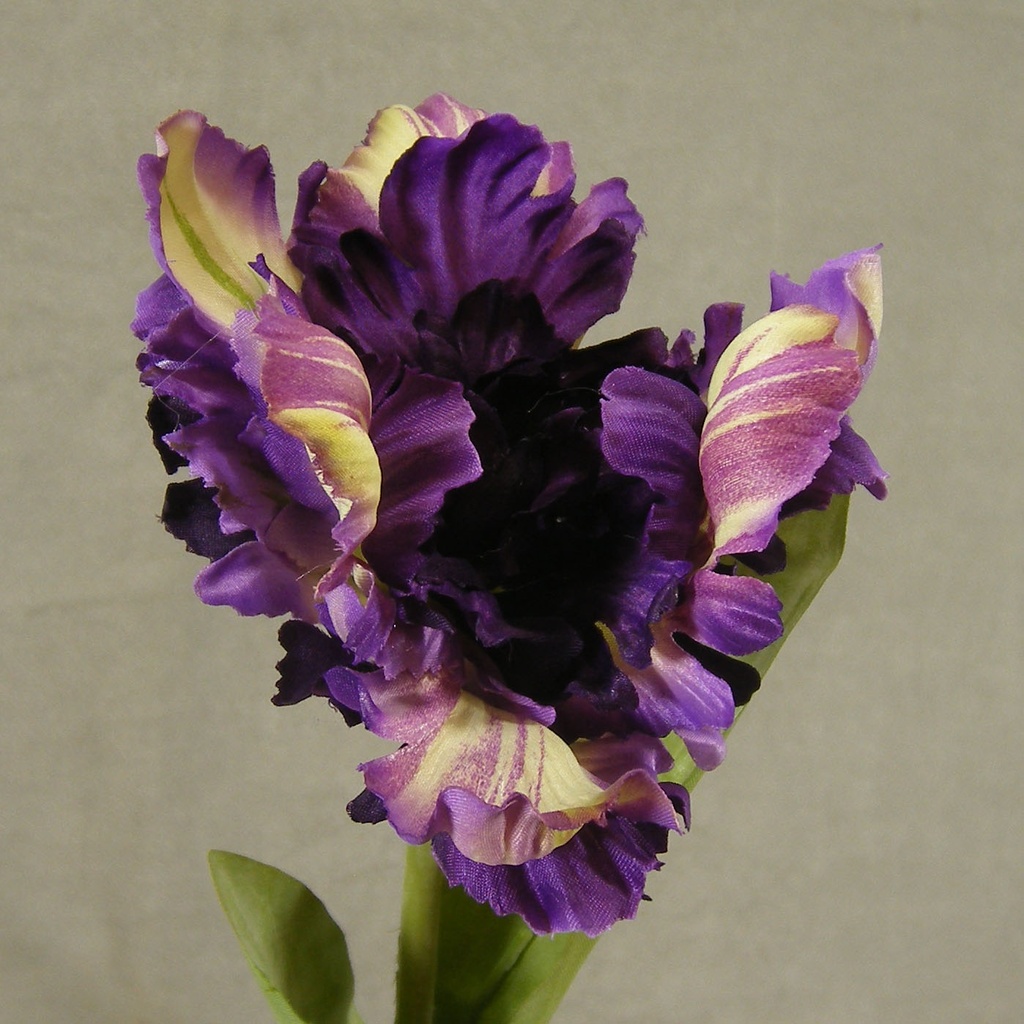 TULIP PARROT SPRAY 18" W/2 LVS  PURPLE