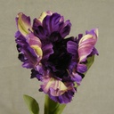 TULIP PARROT SPRAY 18" W/2 LVS  PURPLE