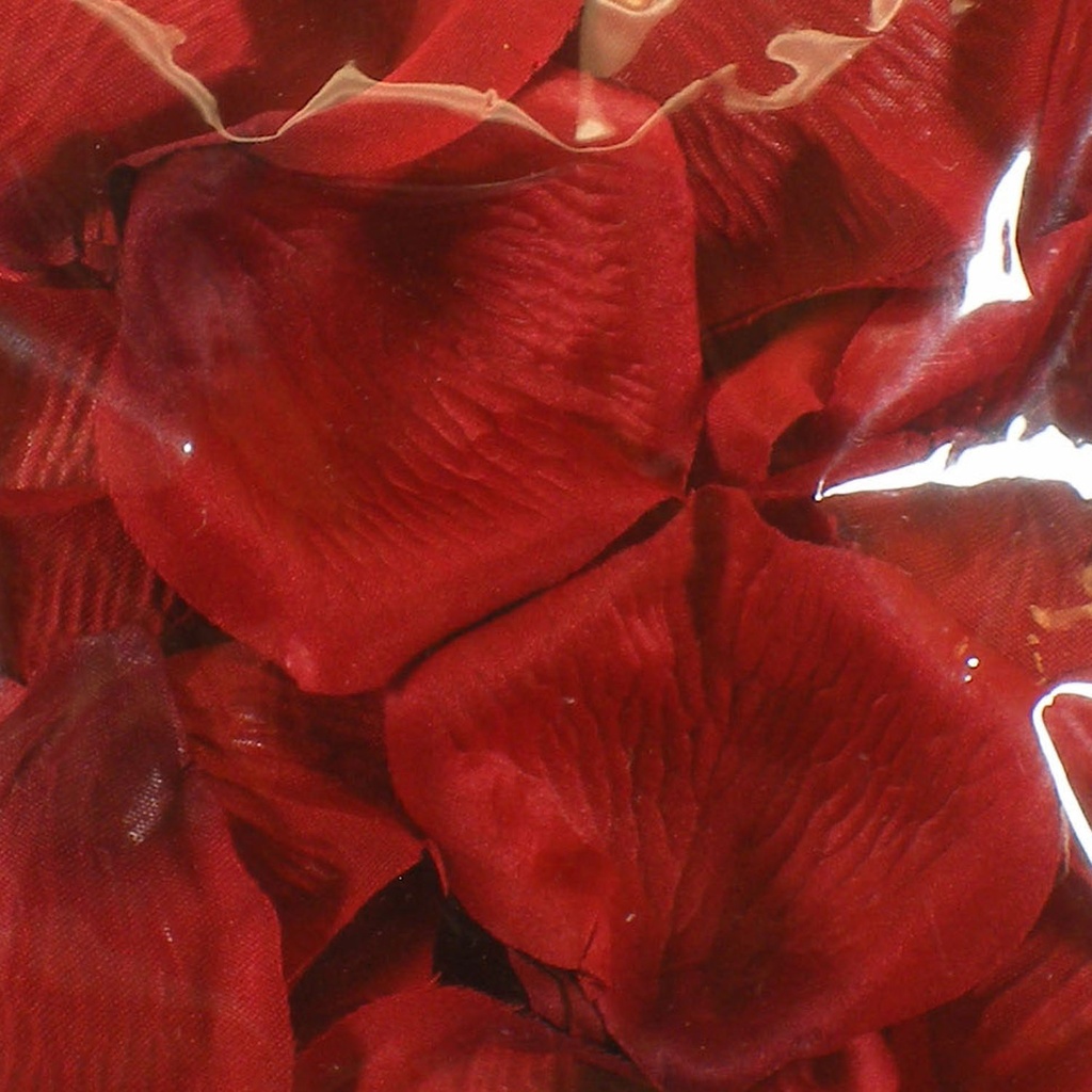 FLOATING ROSE PETALS (36/BAG)  RED