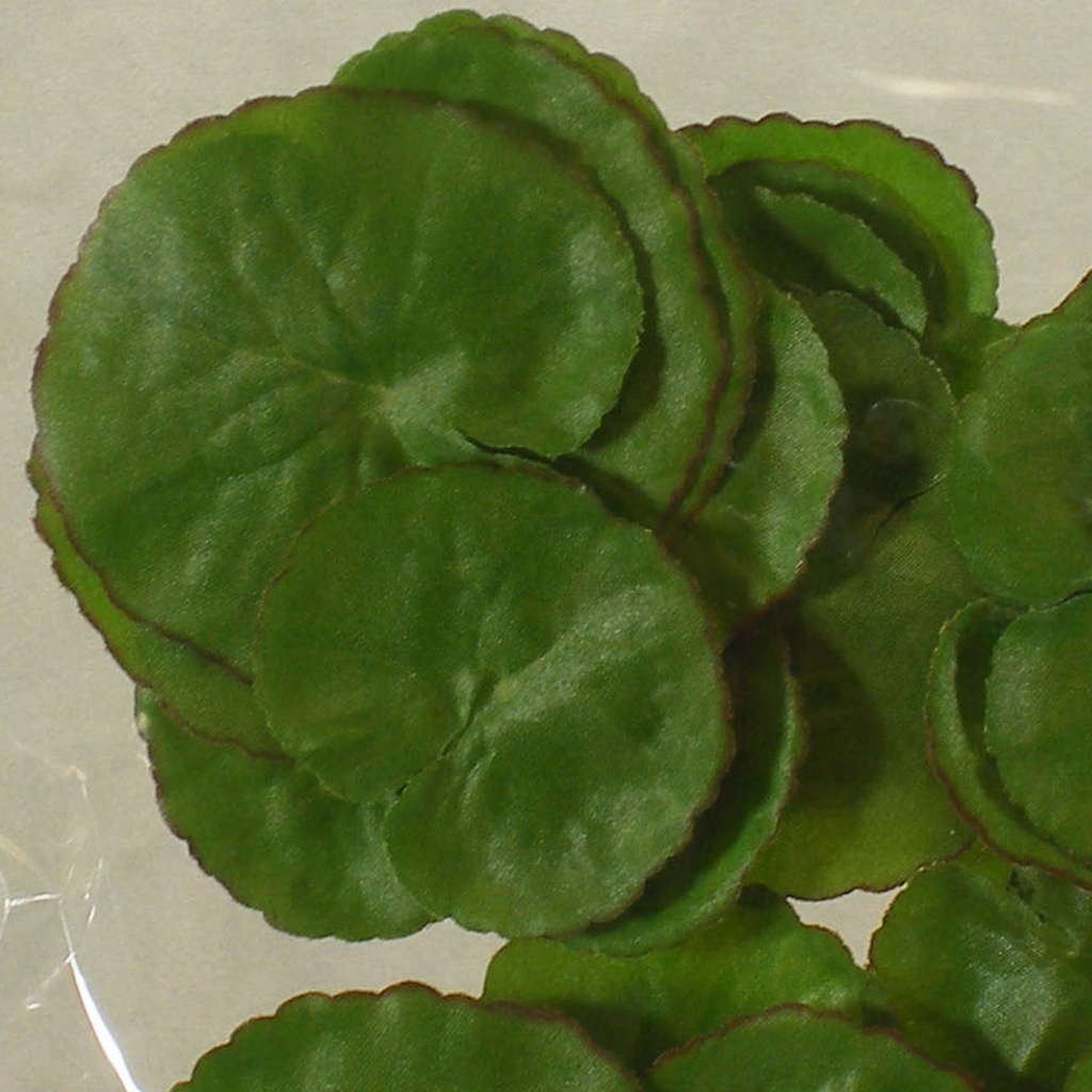 FLOATING LOTUS LEAVES (36/BAG)
