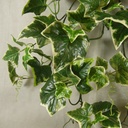 IVY HOLLAND BUSH 30" W/111 LVS