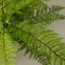 FERN LEATHERLEAF PLASTIC BUSH SMALL