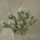 DUSTY MILLER FLOCKED BUSH X5