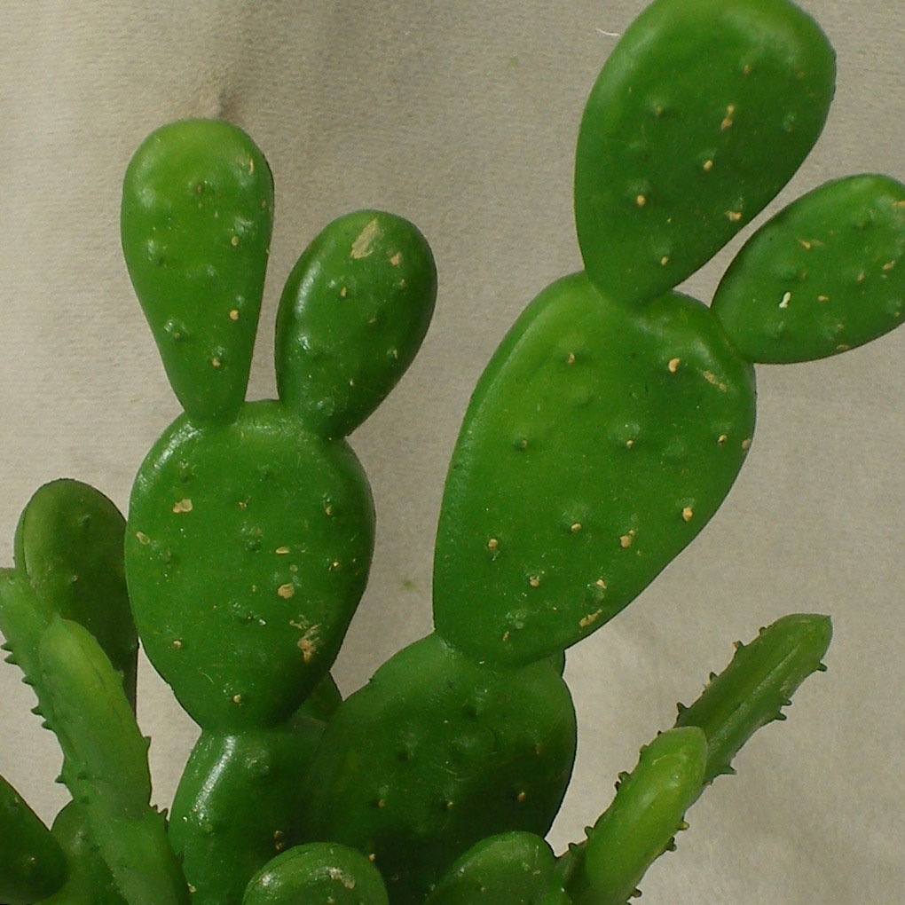 BEAUTERTIA SPRAY 8.5&quot; PLASTIC