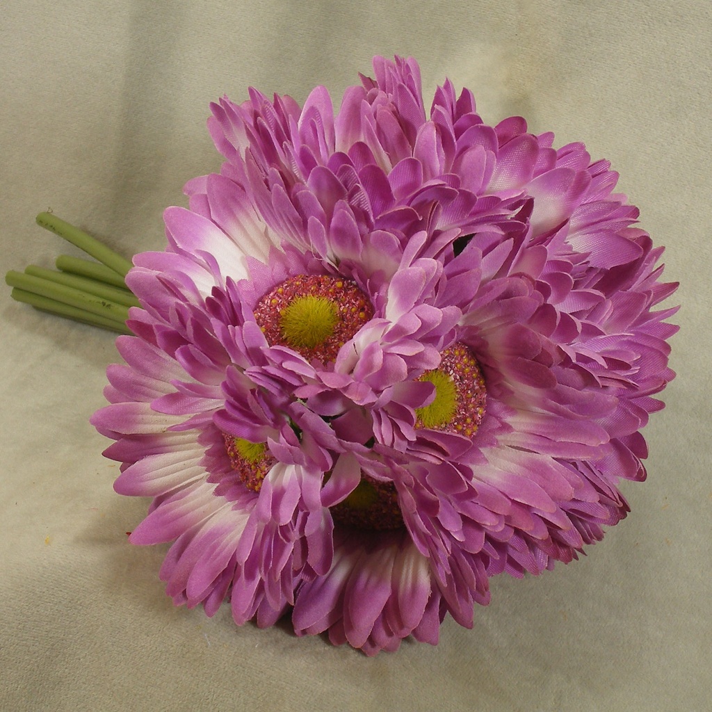 GERBERA DAISY BOUQUET X9 10.5"  LAVENDER