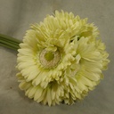 GERBERA DAISY BOUQUET X9 10.5"  LIGHT GREEN