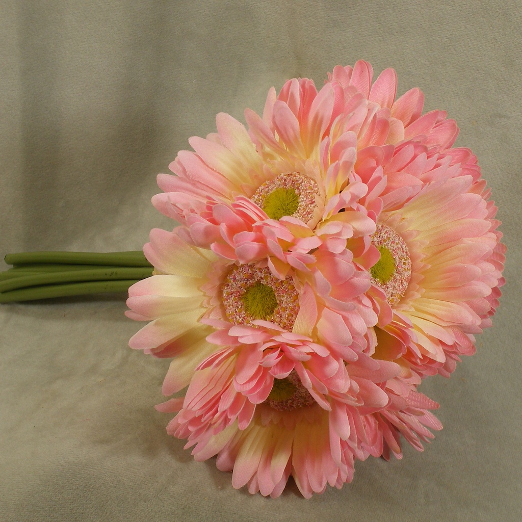 GERBERA DAISY BOUQUET X9 10.5"  LIGHT PINK