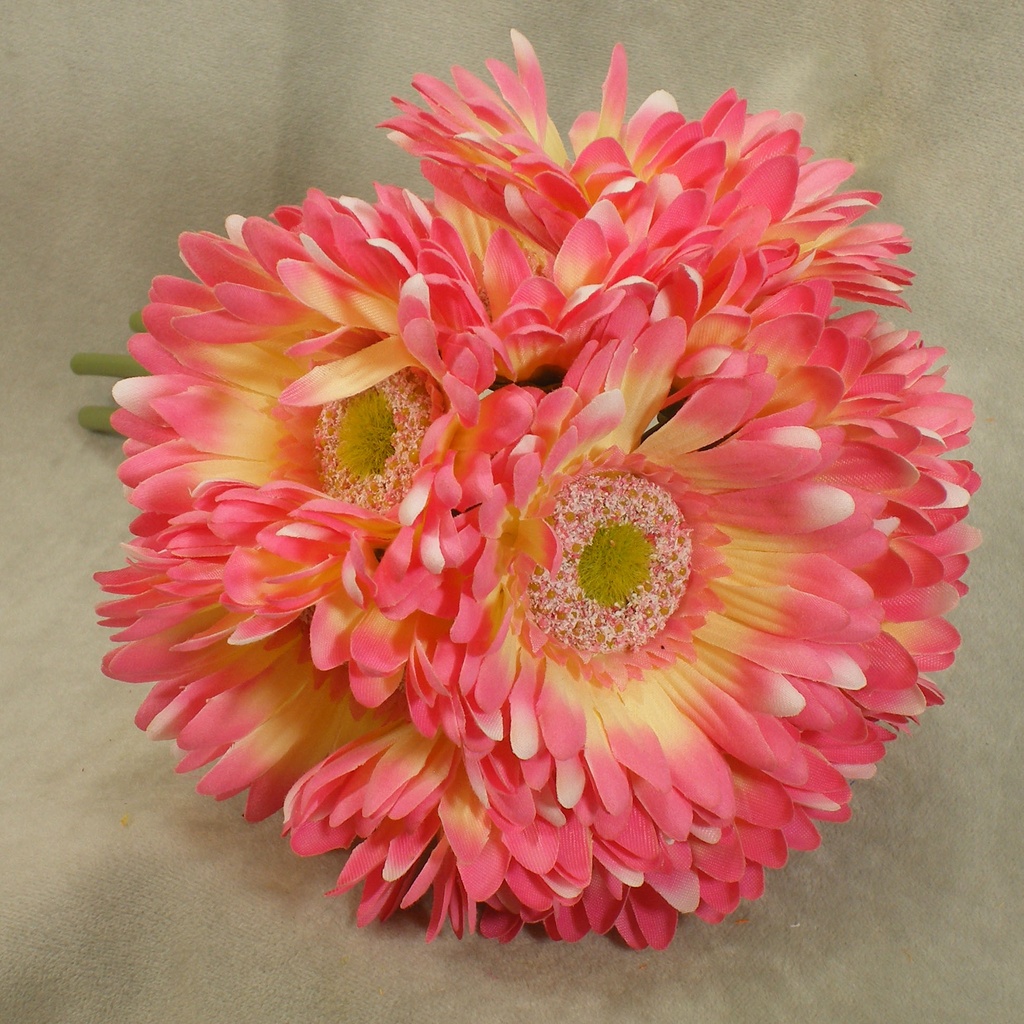 GERBERA DAISY BOUQUET X9 10.5"  PINK