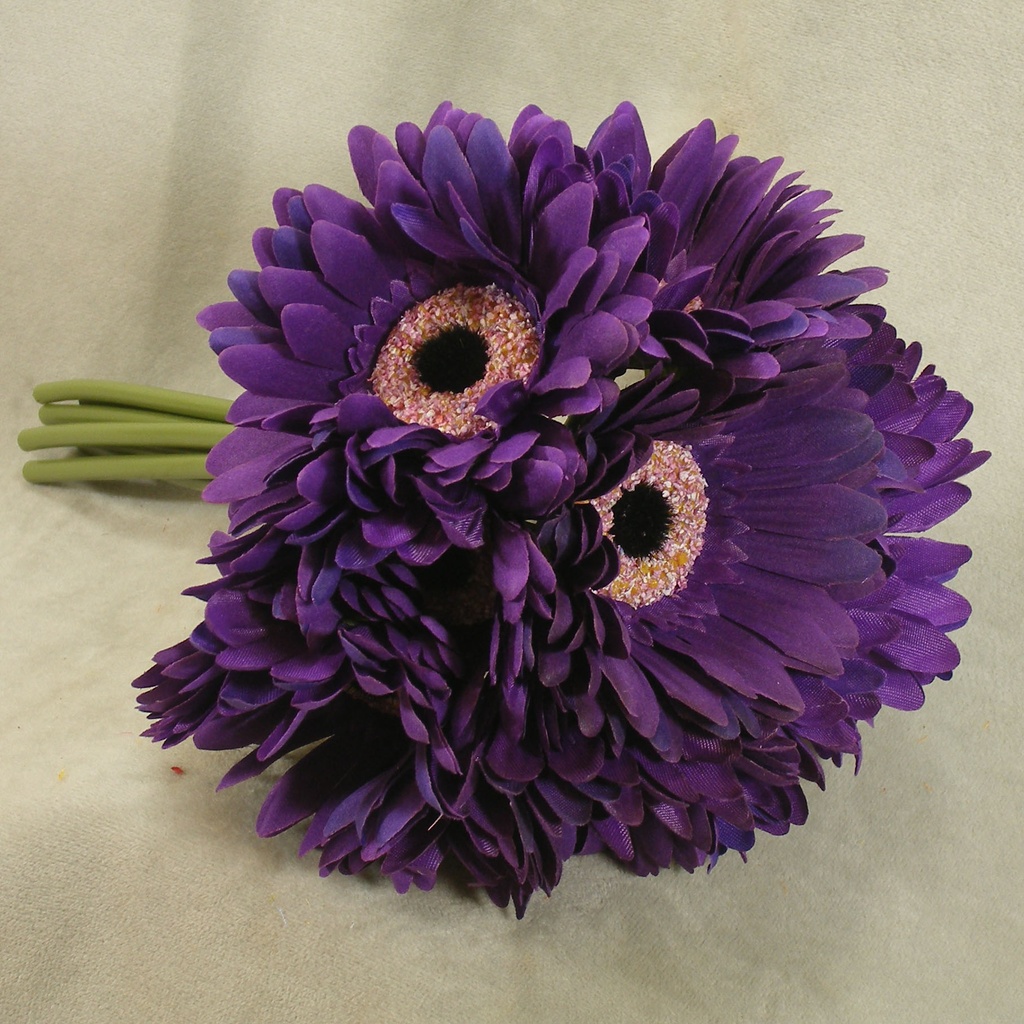 GERBERA DAISY BOUQUET X9 10.5"  PURPLE