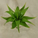 CACTUS (3 ASST'D STYLES/SET)