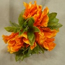 TULIP PARROT W/GRASS BUNDLE 10"  ORANGE