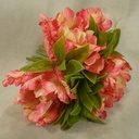 TULIP PARROT W/GRASS BUNDLE 10"  PINK