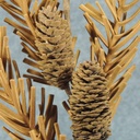 PINE FOAM SPRAY W/CONES 29"  LIGHT BROWN