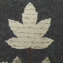 MAPLE LEAF SPRAY X3 PARCHMENT 27" WHITE