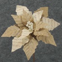 POINSETTIA PARCHMENT/BURLAP 20" STEM