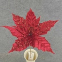 POINSETTIA PICK 12" 10"dia BLM  RED