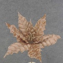 POINSETTIA PICK 12" 10"dia BLM  ROSE GOLD