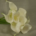 CALLA LILY BOUQUET X9  14" CREAM/WHITE