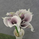 CALLA LILY BOUQUET X9  14" PICASSO