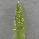 TREE MINI 20" W/GLITTER LARGE/GREEN