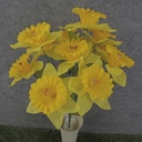 DAFFODIL BUSH X12 18"