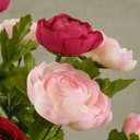 RANUNCULUS BUSH X12   18"  BEAUTY/PINK