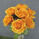 ROSE BUSH OPEN 19" X12 SATIN  ORANGE