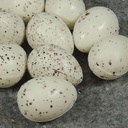 1.25" SPECKELED EGGS (1 DZ/BAG)