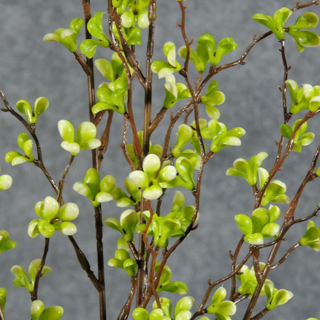 PLUM CROSS BUSH 22"  GREEN 