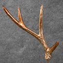 ANTLER 7.5" ON 8" PICK COPPER