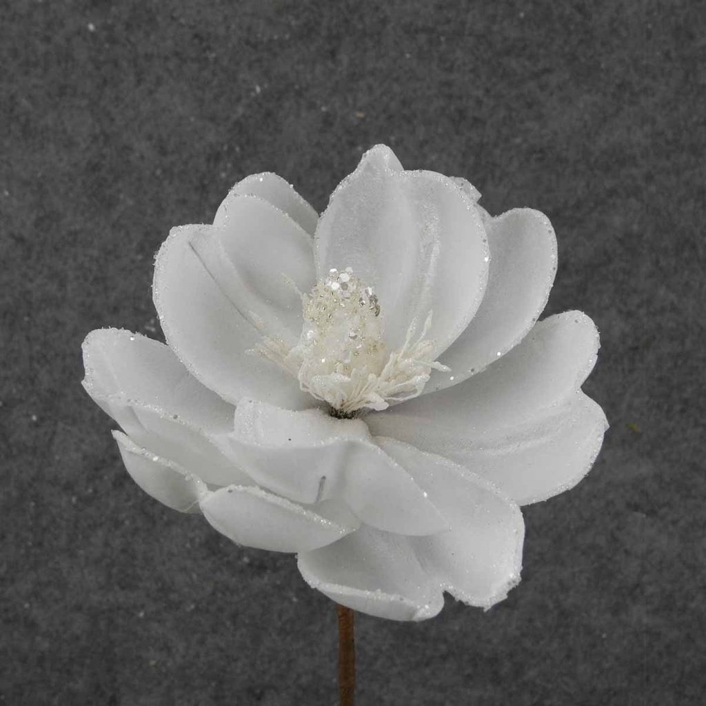 MAGNOLIA BLOOM STEM 24"T/5.5"d WHITE