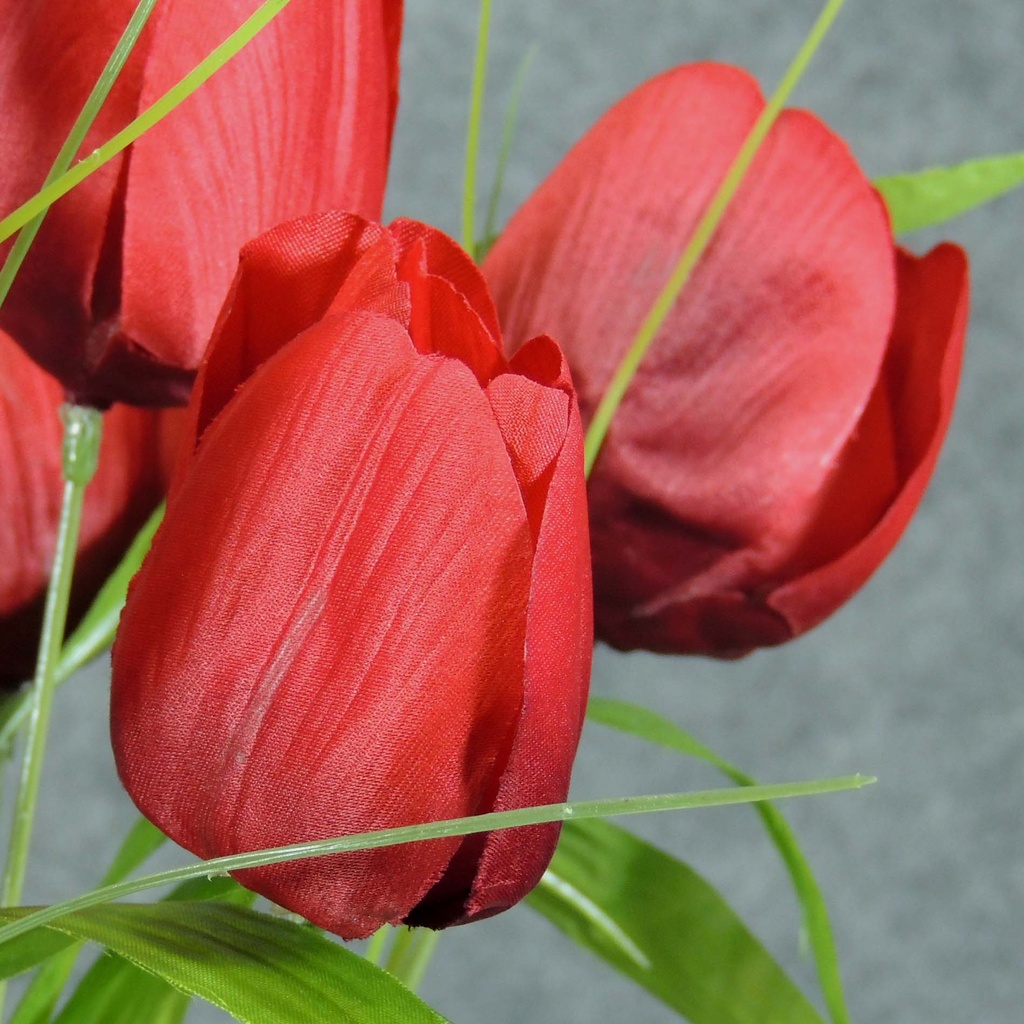 TULIP BUSH X11       RED