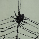 SPIDER WEB ORNAMENT 12" BLACK
